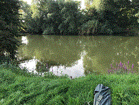 PEG 67 Pictures